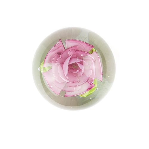 Sulphide pink flower ls