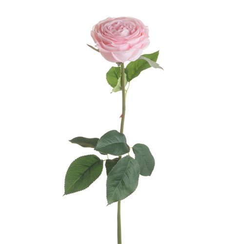 Rosa-rose artificiele-rose leger