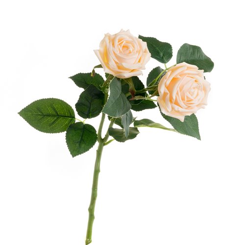 Rosa-2 roses artificelles-champ.