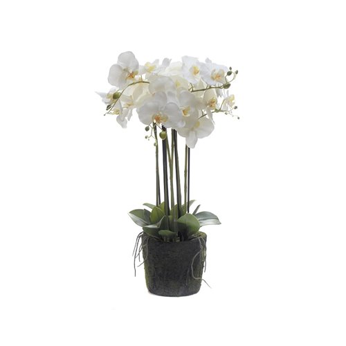 Orchidées artificielles blanches S