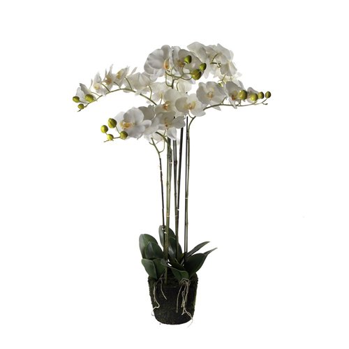 Orchidées artificielles blanches L