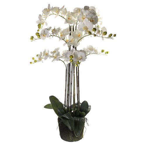 Orchidées artificielles blanches XL
