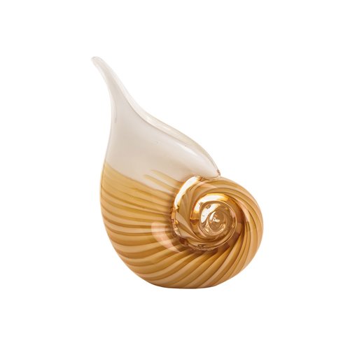 Shell glass amber white