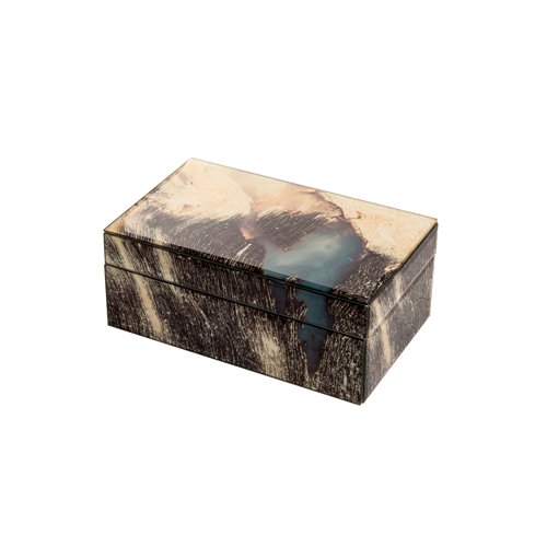 Glass box pepperwood fossil M