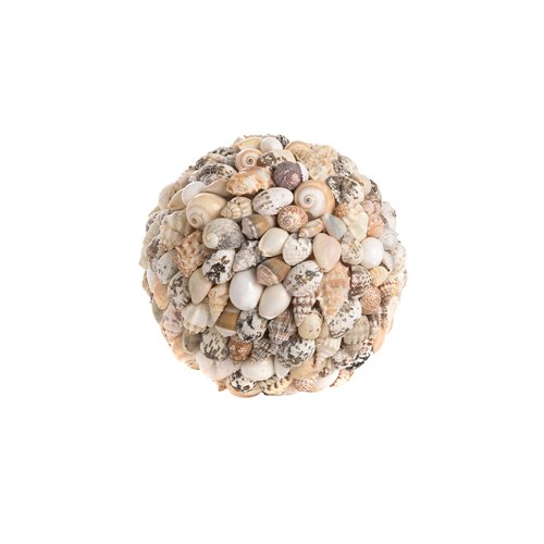 Seashell ball natural l