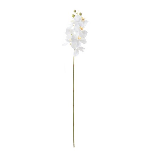 Orchid Stem Wht/Yellow 7 Flowers