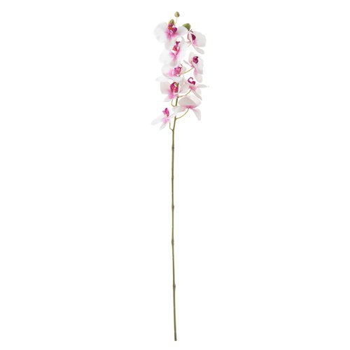 Orchid Stem Wht/Purple 9 Flowers