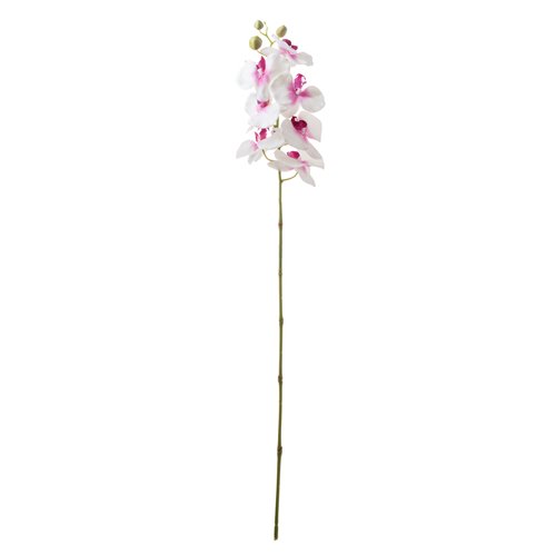 Orchid Stem Wht/Purple 7 Flowers