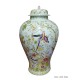Temple jar parrots cx
