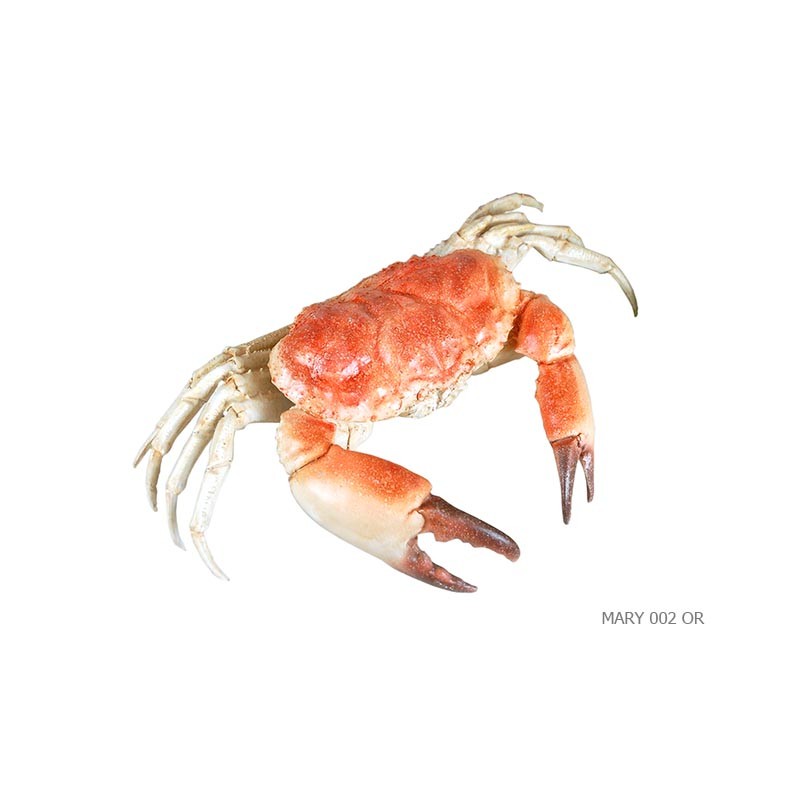 Crabe resine patinee
