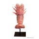 Rock lobster resin patina