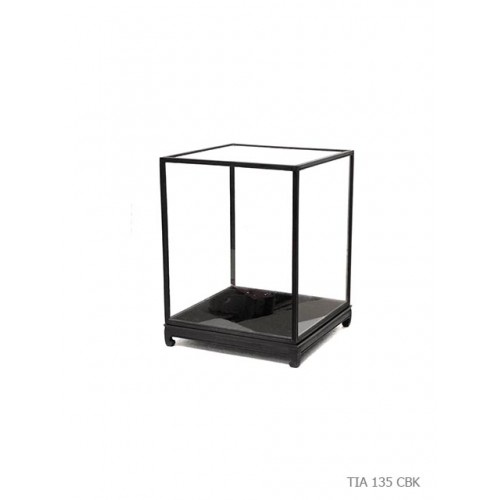 Showcase curiosity black wood