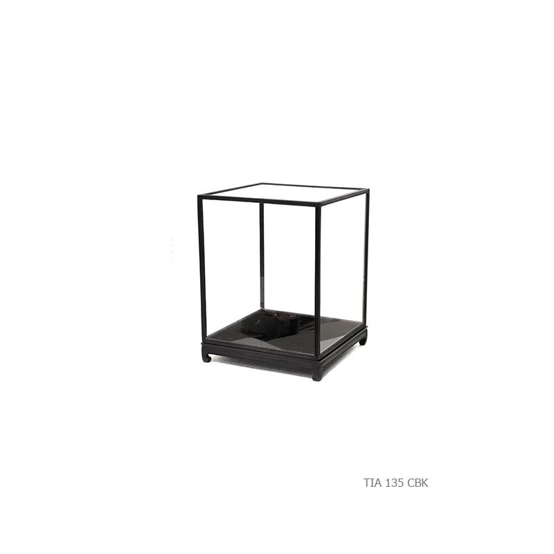 Showcase curiosity black wood
