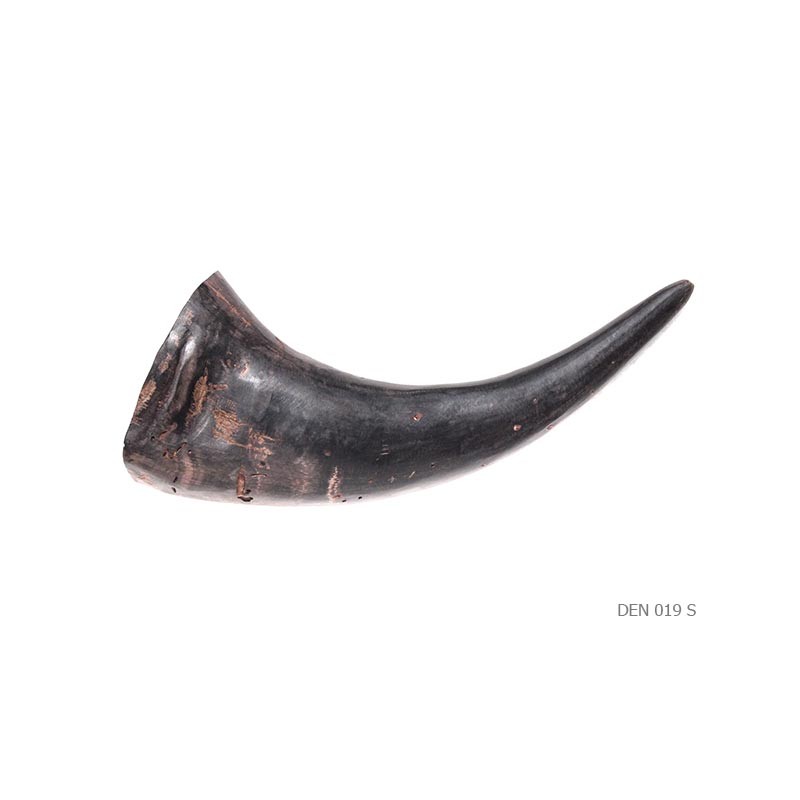 Horn hand sculpted