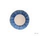 Plate blue white design