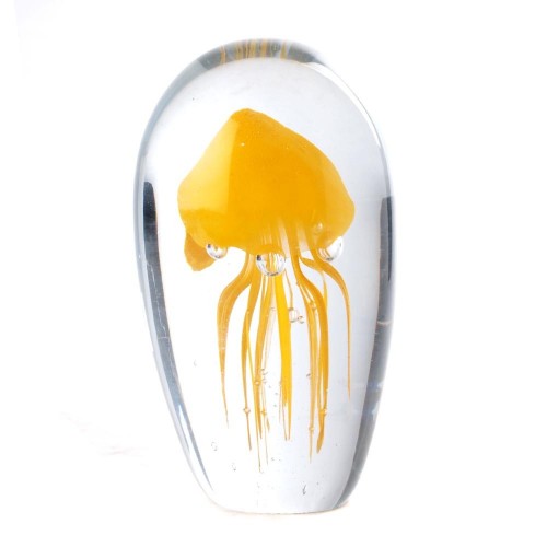 Fossilised jellyfish yellow