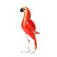 Parrot venetian red texture