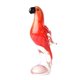 Parrot venetian red texture