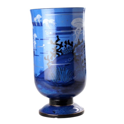 Straight vase jellyfishes N.Blandin