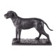 Dog irish setter bronze