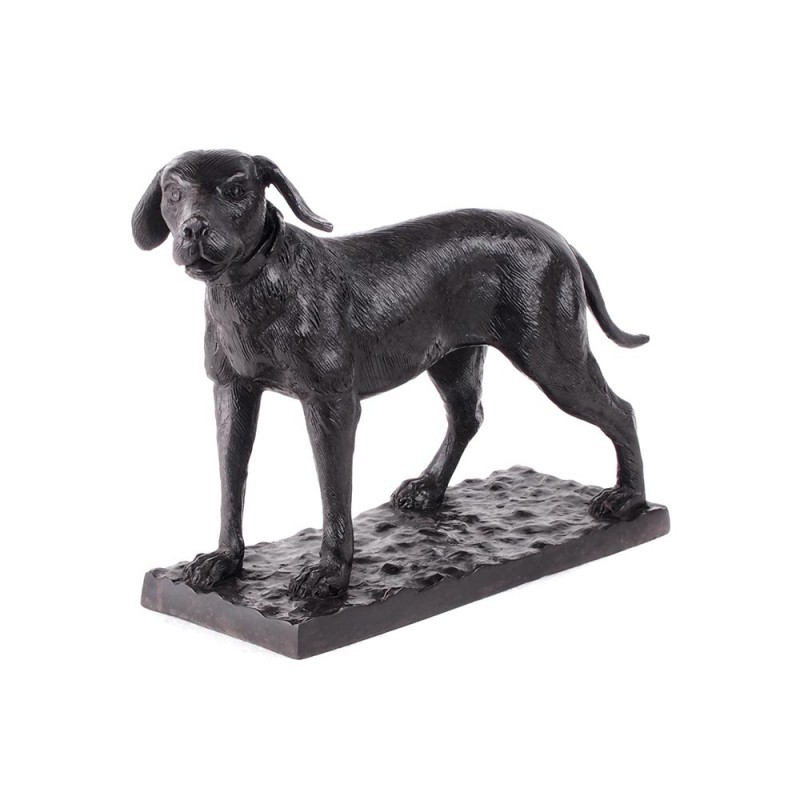 Dog irish setter bronze