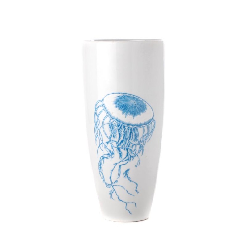 Vase jellyfish on white background