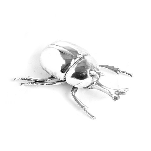 Coleopter resin metallized